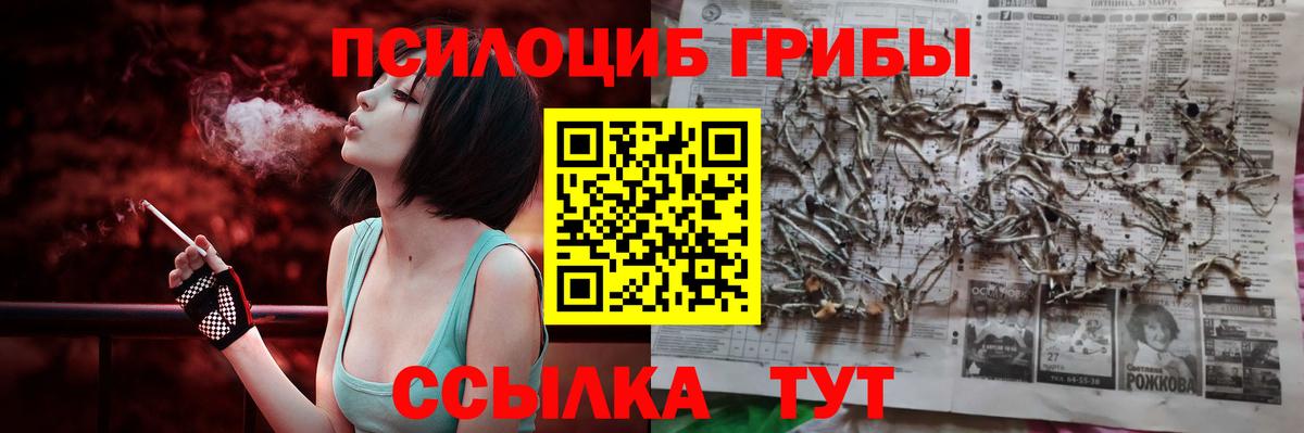 Псилоцибиновые грибы Psilocybe  Вход с VPN  Глазов 