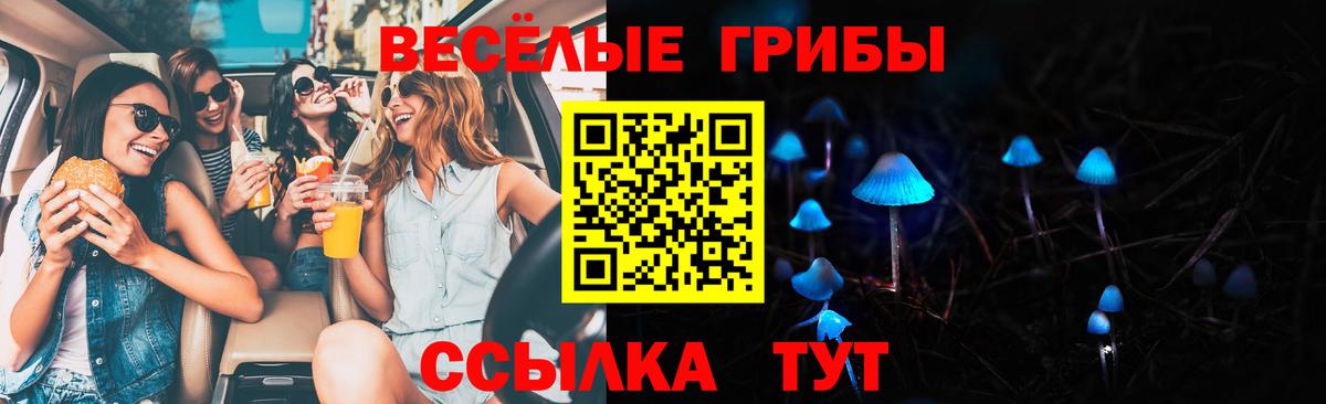 Псилоцибиновые грибы Cubensis Глазов
